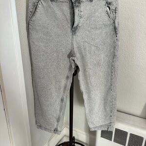 Zara Light Gray Denim Pants